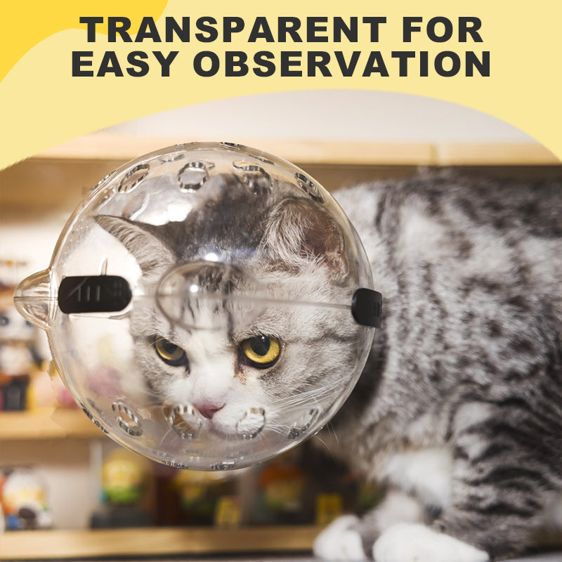 Cat Ball Mask