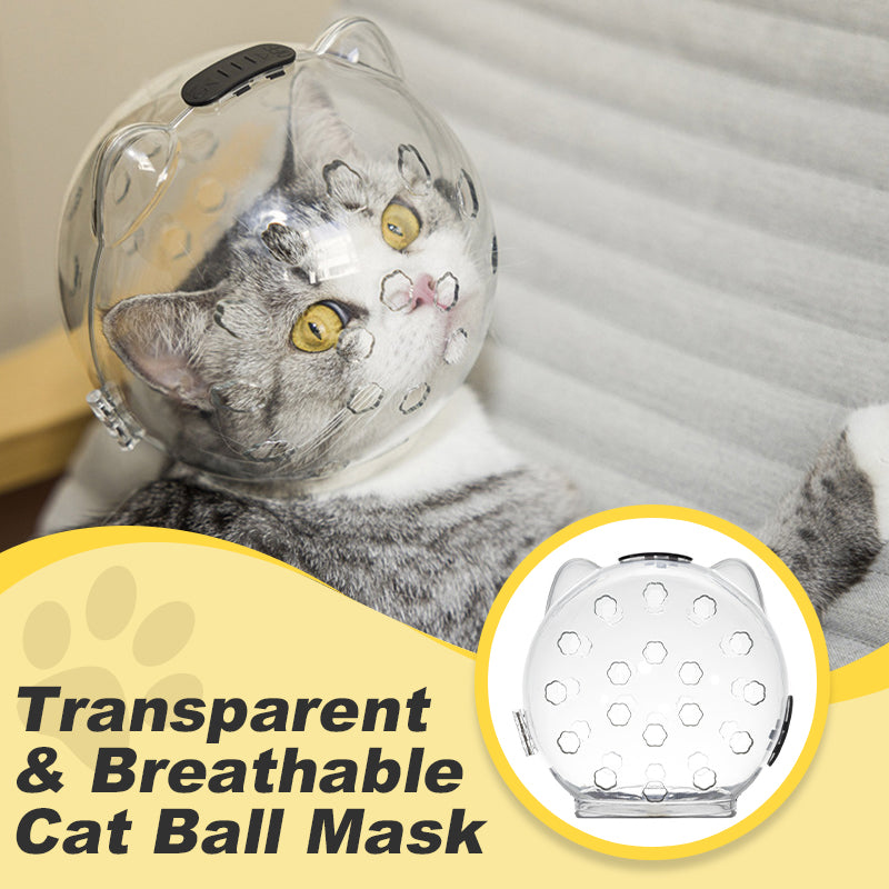 Cat Ball Mask